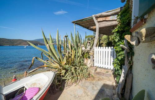 Agave direclty on the beach - Goelba - Foto 35