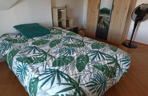 BelleVue 5min à pieds du tram vers centre ville-circuit - Foto 15