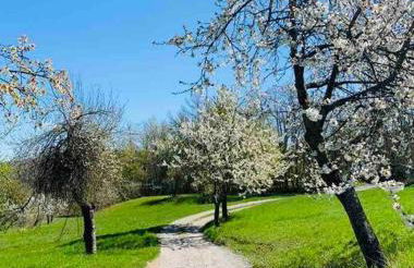 Castagneti House -14 km dalla FERRARI - Foto 17