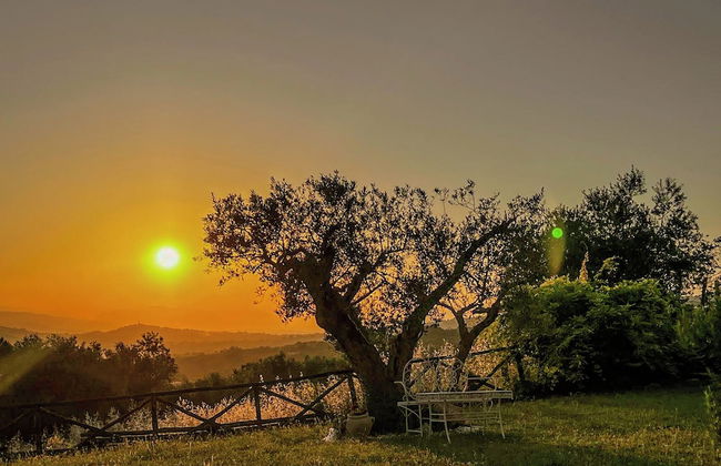 Villa Paradiso - Irpinia - Foto 67