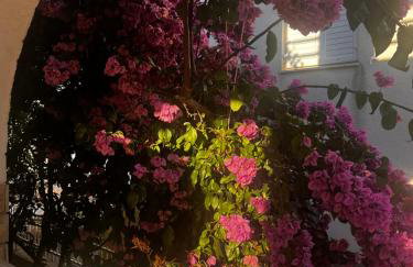 Apartments Zvijezda - Foto 67