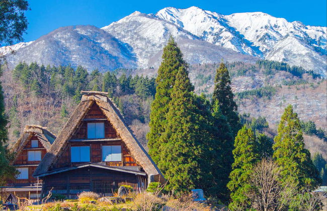 Shirakawago Private Day Trip - Photo 4