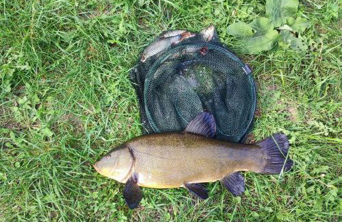 Domek Apartament w Skarpie Łutynowo - Foto 21