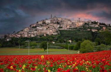 Le Ghiande - Foto 73