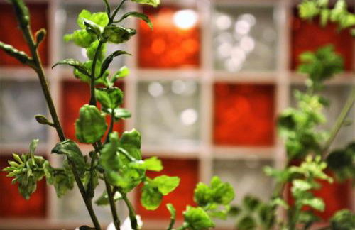 Apartamento El 31 de Bilbao - Foto 46