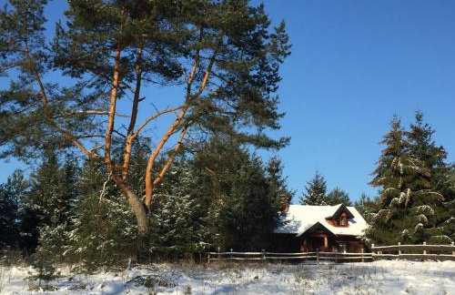 Sosnowy Zakatek - Foto 52