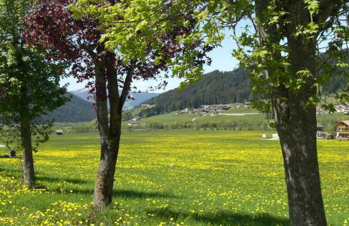 Faltnerhof - Foto 38