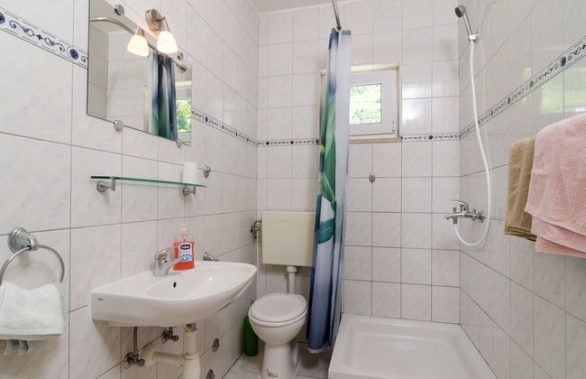 Plavac Mali - Photo 16