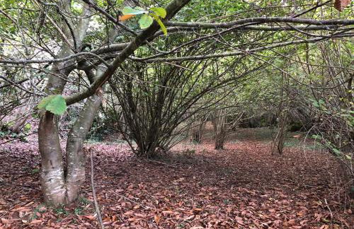 Alojamientos Casa Luisa - Foto 47