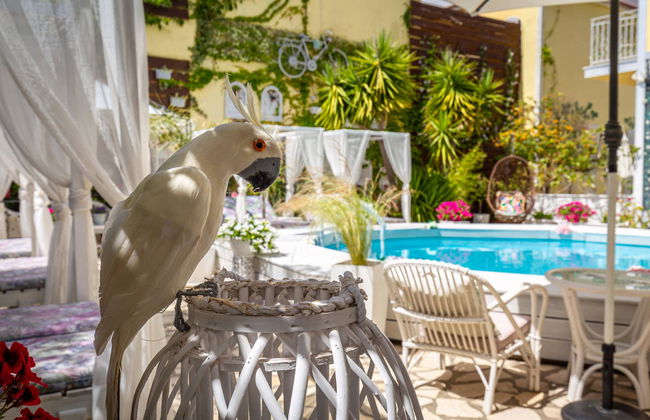 V.A. Boutique Apartments and Suites - Foto 7