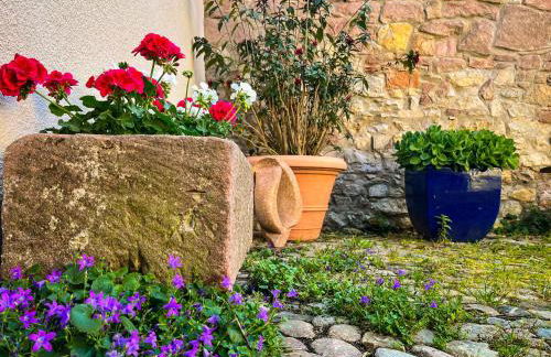 Storchenhof Teningen - Foto 26