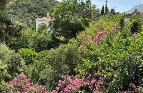 Paradisos House - Foto 1