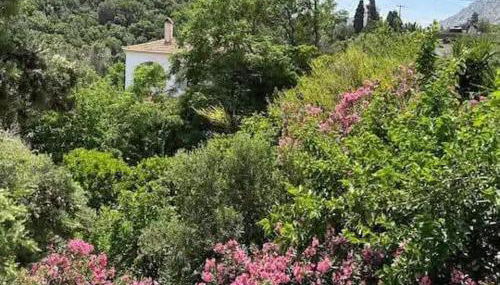 Paradisos House - Photo 1