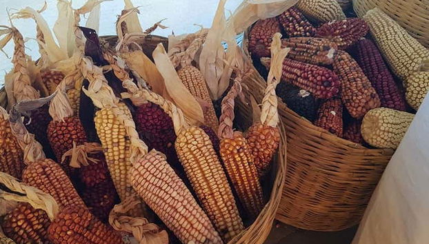 Conoceremos el origen de las tortillas de maíz