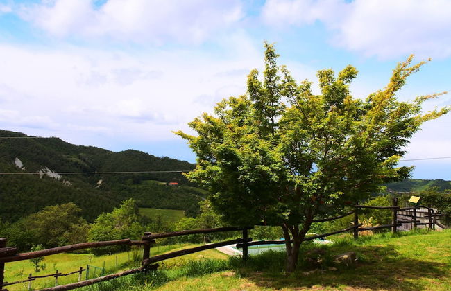 Agriturismo Le Piagge - Foto 27