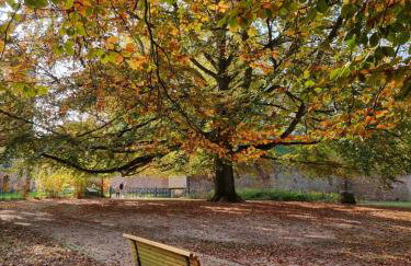 Apartament Fryderyk Łagów - Foto 52