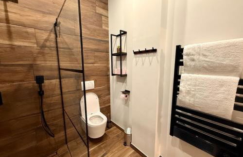 Grand T2 Refait à Neuf & Place De Parking - Foto 6