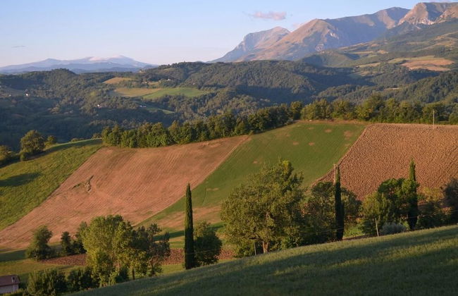 Agriturismo SPA Serpanera - Foto 56