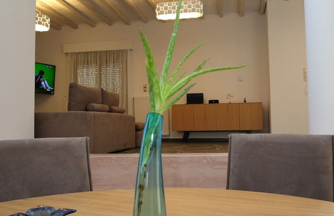 Terra Divina - Foto 31