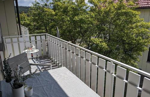 Ferienwohnung am See im Fichtelgebirge - Foto 15