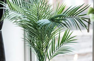 The Heart - Cosy 3 bedroom house with double driveway and Garden in Manchester - Foto 65