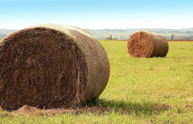 Chalet in Oignies Near French Border - Foto 28