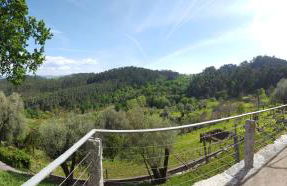 Quinta da Vinagra - Foto 37