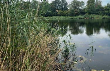 Appartement atypique indépendant sur péniche - Foto 67