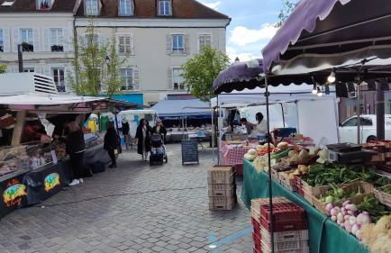 Romantic Room - Studio Jardin - Proche Disneyland Paris - Foto 44