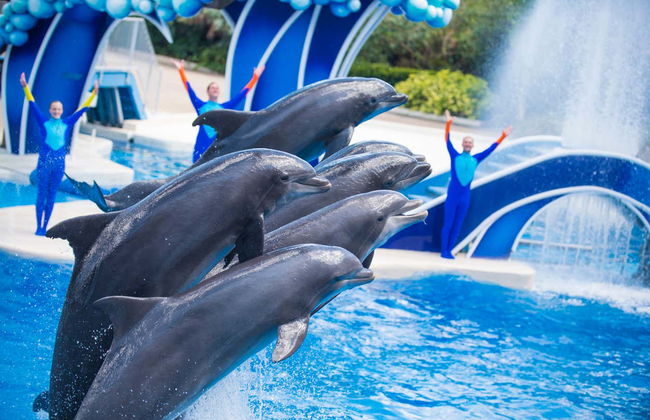 Billet pour SeaWorld Orlando - Photo 1