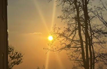 Oaza spokoju - Walendów - Foto 13