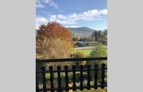 Lullaby House - Large, full comfort 5 star chalet house in the Vosges - Foto 35