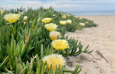 Townhouse 15 minutes from the sea - Photo 2