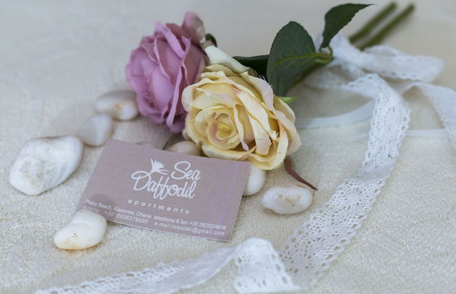 Sea Daffodil Apartments - Foto 18