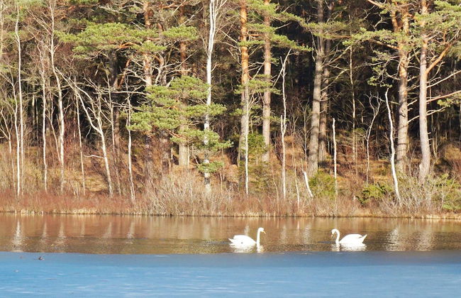 6 Person Holiday Home in Hedekas-by Traum - Foto 17