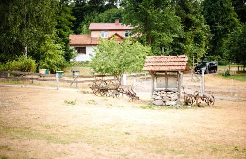 Agroturystyka Stara Huta - Foto 70