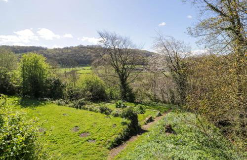 Fron Goch Farm - Photo 76