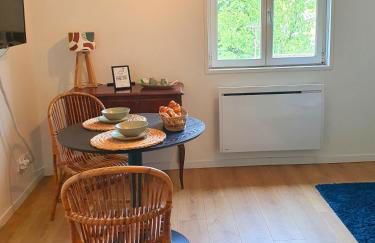 Proche métro B et Hopital Lyon sud - Foto 19