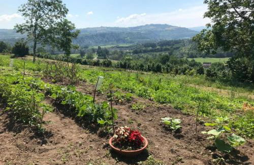 Apartment with large covered terrace, in small residence with swimming pool - Foto 91