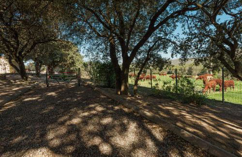 Mas El Brugué - Foto 47