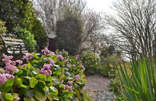 Beech Cottage - Photo 13