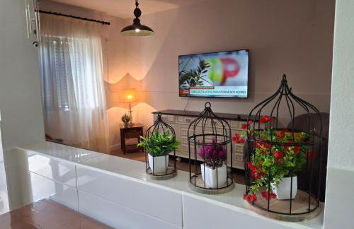 Flor de Laranjeira - Foto 21