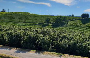 Cascina Goretta Agriturismo - Photo 23