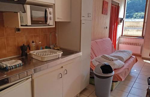 STUDIO 2 LUZ SAINT SAUVEUR 4 Personnes - Foto 14