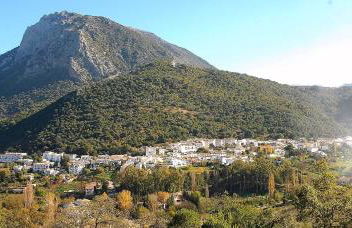 Casa La Rosa P.N. Sierra de Grazalema - Foto 14