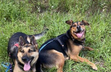 Ferienwohnung Riva - Foto 31