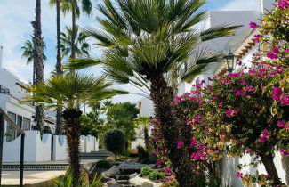 Casa Olivia Villamartin Golf - Foto 7