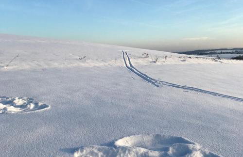 Schön Hier - im Harz - Foto 40