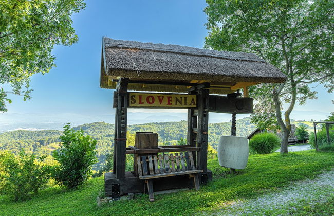 Vineyard cottage Škatlar 2 - Foto 18