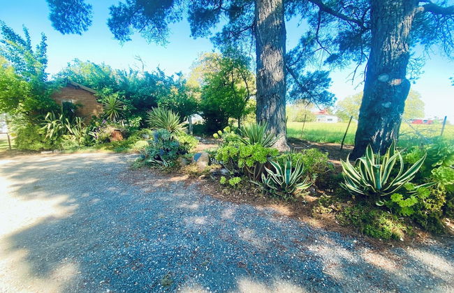 Sutton Spring Art Retreats - Foto 65